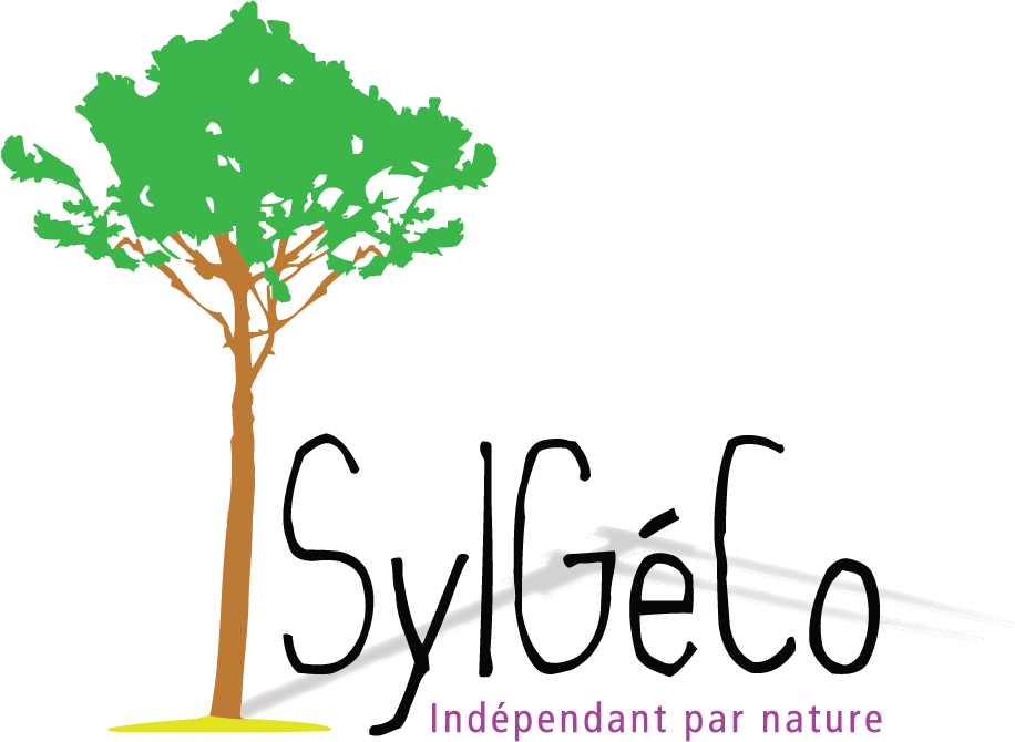 SylGéco, expert forestier à Castets dans les Landes